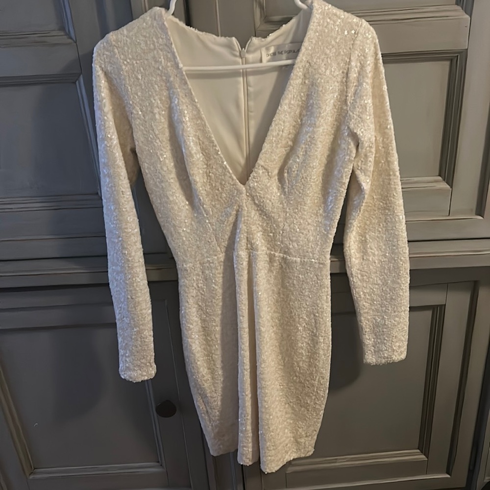 Dress the Population Sequin Dress